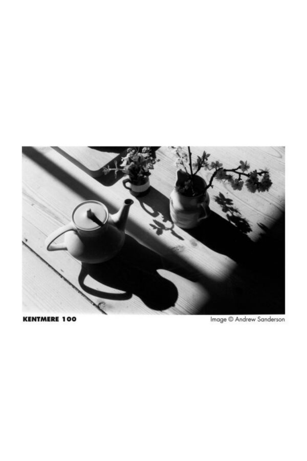 Kentmere Pan 100 36 Pozluk Siyah Beyaz Film 35mm 1adet Film